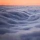 88981596888276168026421942896166316822426688466861397379208311564022717612042