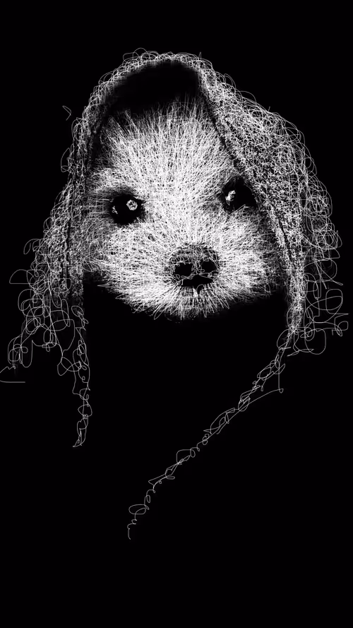 Item #20286817641922993541065929101952433978531825078991625494647867638277845549057 Media