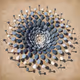 95162604727819063143818612465025659296039785014151018625765153214216341028865
