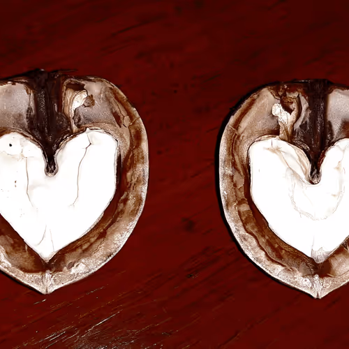 Item #32113585518735089884280564341914378894853705540135441781779048633837824245761 Media