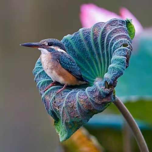 Item #83462484926125179177933876272722647181473475967863052278931111142732492439553 Media