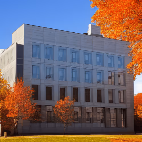 stingraze Collection