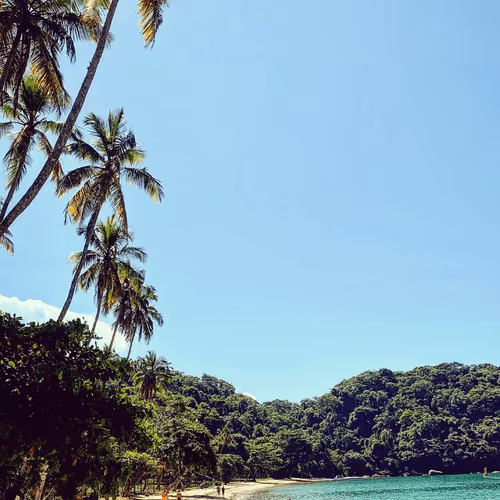 Item #42371708316015035804653308093139138598613107876517934913588075194095369191425 Media