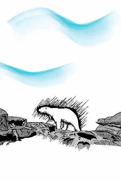 Item #115642348900939839605664246345985153537088577067861875053419533913052265054213 Media