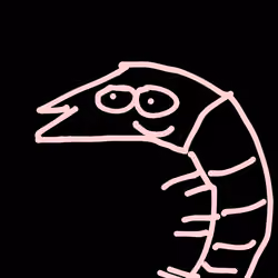very nice shrimp