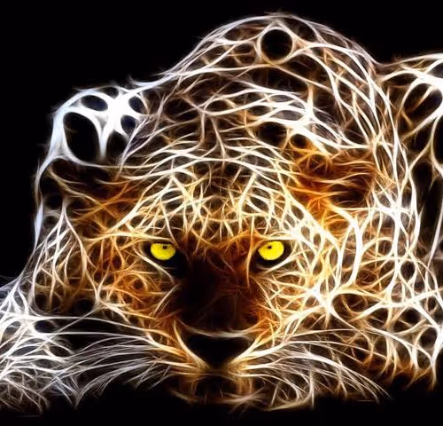 Untitled Collection #92121747