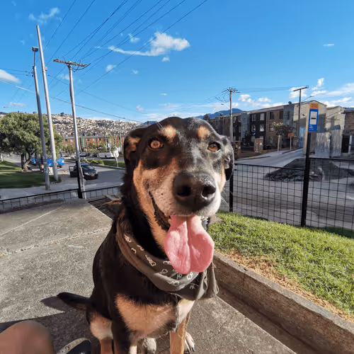 Item #46030170572338065013954339165187362546387663606248340675285172529938238013441 Media