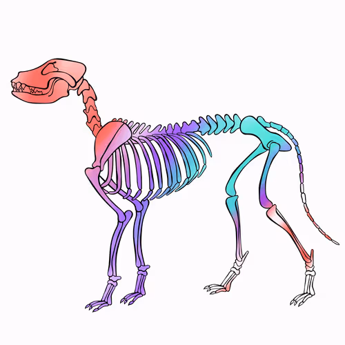 Item #66115251428437251400949335005857765940906863007353817121707627030839778344961 Media