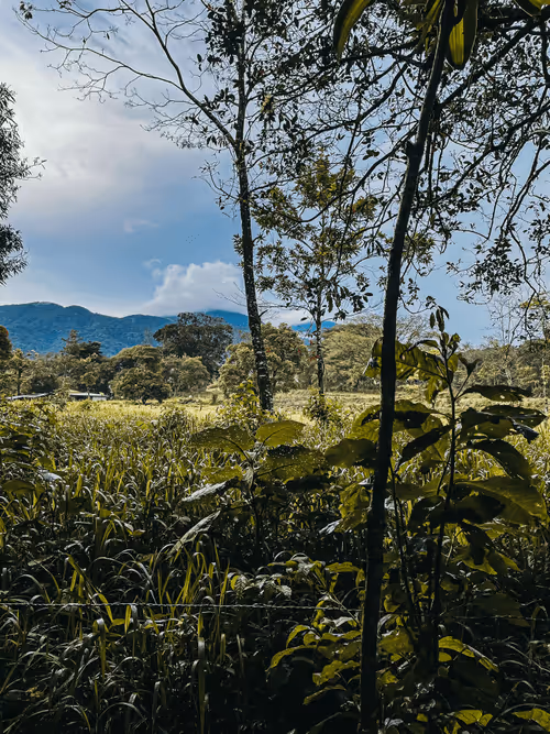 Item #89891320427083052036252289933232728750356970161577239376608436025754208174081 Media