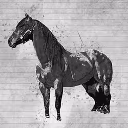 11276162529628641556553056529614973332754405277106184420845745629353079734273