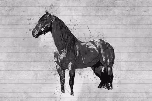 Item #11276162529628641556553056529614973332754405277106184420845745629353079734273 Media