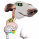 107676475825313698663498871423966829324330709057115530096960081051921326014465