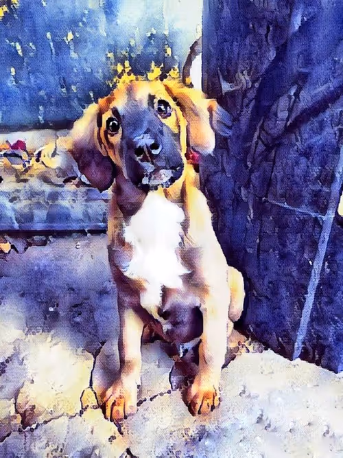 Item #109885862523976899144651734441556854765315219074328426947809034518488162500609 Media