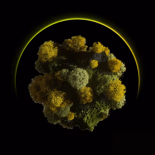 Item #88613626256146731978442638249599185806146064018143133442533784701379964567553 Media