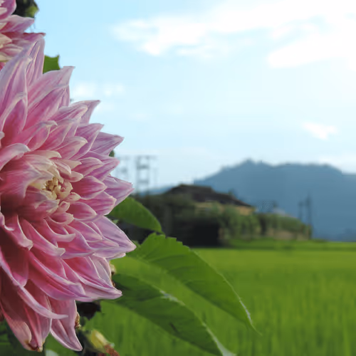 Item #101645309165580869491586595174322731374000989681409638124054554721168492855297 Media