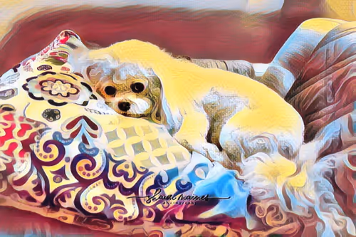 Item #42811690343393050366458576261595461434528685336136353157716912194368879722497 Media