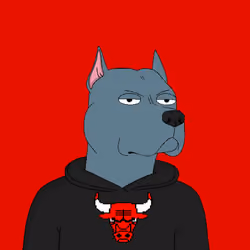Dog/4