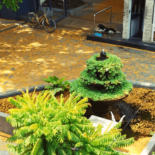 Untitled Collection #255636477