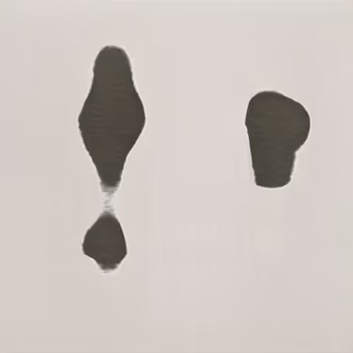 Item #94594472800492689210511791646247881716921421318605375343824232310981315788801 Media