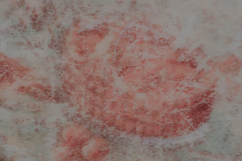 Item #22038897082554510525343258470731156361004216465614041930252992574788999315458 Media