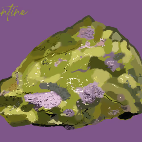 Item #85141354714833614509806319782789039138473253974235521479469238690143109382145 Media