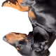 74388183107571848256633446996010033662379072698002169646249461034463178784769