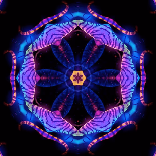 Item #112881076383788129306951985002951292499329158073037574705693288488885966340097 Media