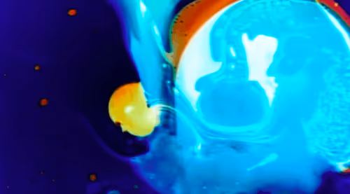 Item #115543855825004991069233676876391598030512634182688088675694673472389245829121 Media