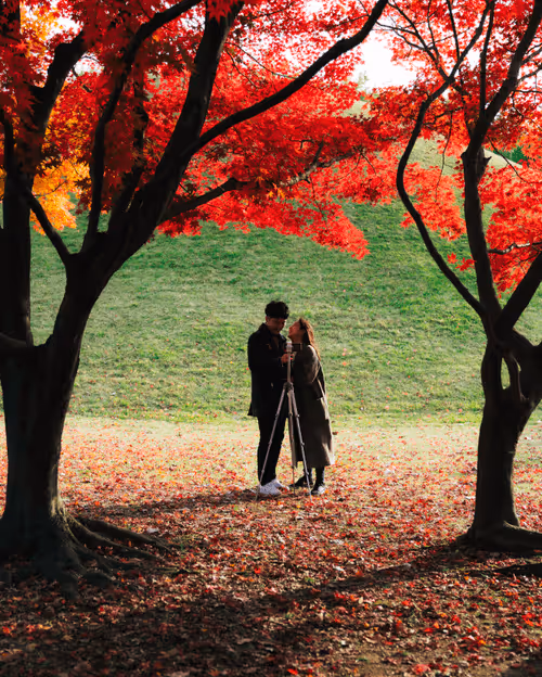 Item #74560649326607298578853393268143794665781666052470848563380919782479306424336 Media