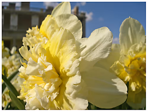 Untitled Collection #137439649