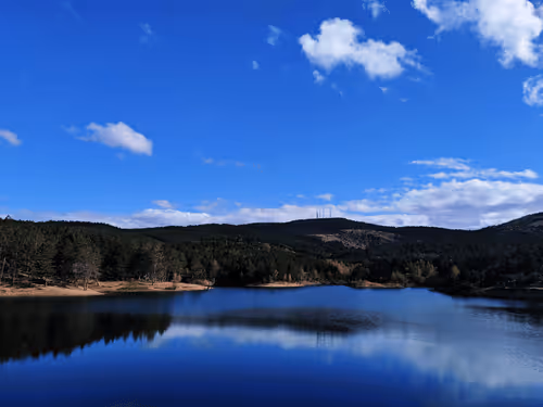 Item #31342426711023829564794715660700811232221764631833719654856990995498227728385 Media