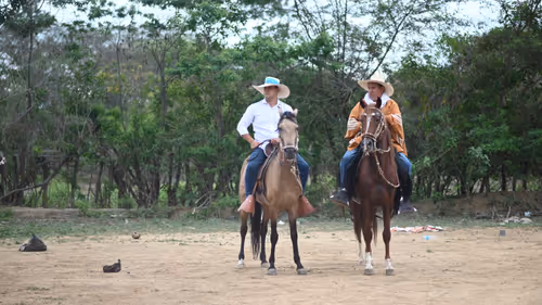 Item #32237202173720727343948986965561335091197107318394763909165930992402027249665 Media