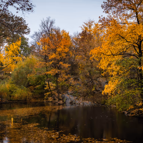 Item #33188518129828565067495864764001379139243741074769942451063100262810776502275 Media