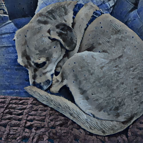 Item #93934111389612149543228811372965978745240315023790439002812866828924981608453 Media