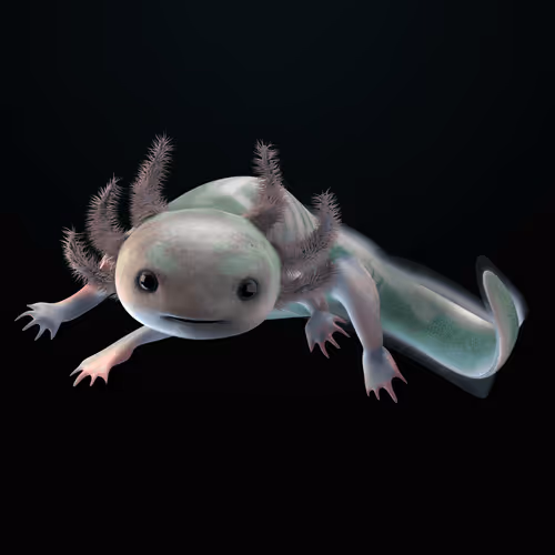 Item #39982110375740153587505644478940195082872270202471884348459982232662149431297 Media