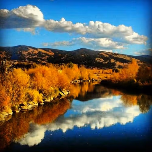 Item #44709480693160417701152031466761867258351074556435739886014108959744198705153 Media