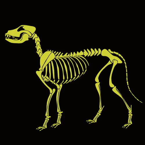 Item #66115251428437251400949335005857765940906863007353817121707627055029034156033 Media