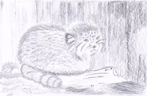 Item #23868826954703786931510511568205826115186971475765391307194903890832138436609 Media