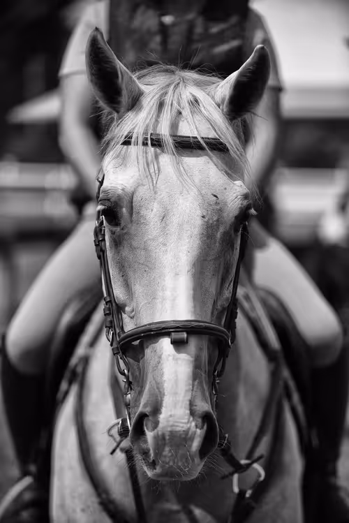 Item #16169064393399629467859942900905405490006492366557123064973208581223372292097 Media