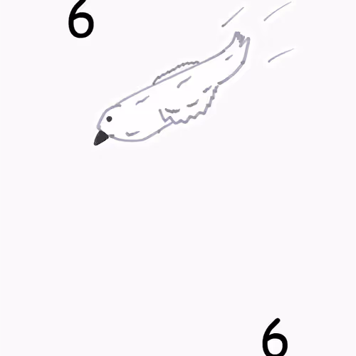 Item #88616899716904079673830621173984426538072062572803848377536091311076200677377 Media