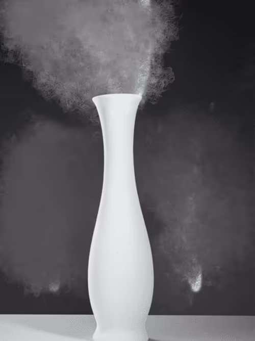 Item #62058454942479700427774896406837750552604122743869420083948132255381195849828 Media