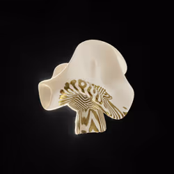 83535453821146316306178013320250520096293247508023240542449519044174752514049