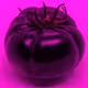 110692649264369377071495627220392981109400302920527361961030166710762090790913
