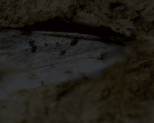 Item #7376968335142423110203002591287652173611771585353958947264139667037298360321 Media