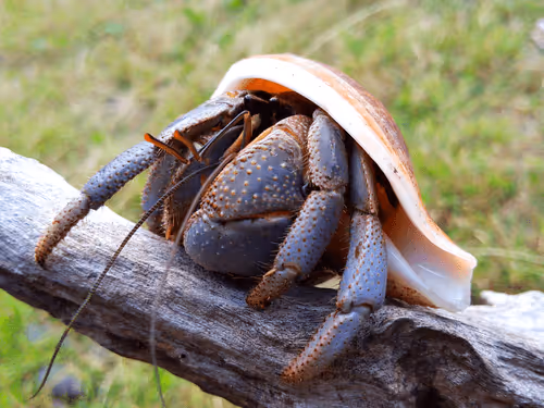 91920838516500969586140493576070920060778375503638515337937380311826851430401