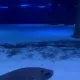 23590070783396132461926423523173184146134816556344915779498254893418673078372
