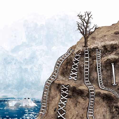 Item #52422642778042427077926376120392097957156652293177322802461846851294423154689 Media