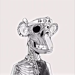 black and white anatomy ape #81