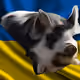 53180631642456764738139299674940583640479914081960747744151194859214005600257