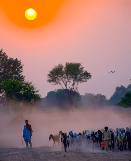 Item #9104047852343460824823657095955061139286762947505329334286274192817659052033 Media